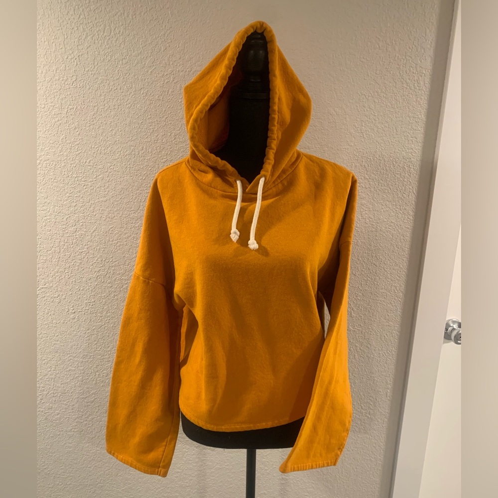 Zara Trafaluc cropped hoodie